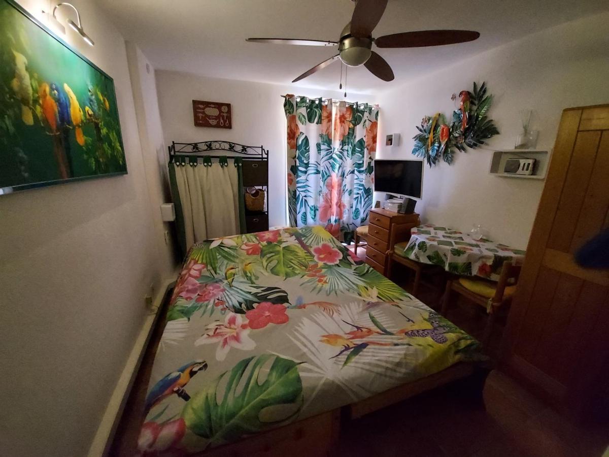 T2-CLIM-WIFI-GARAGE 2,30 x 4,95 à LA FAVIERE Apartment Bormes-les-Mimosas Ngoại thất bức ảnh