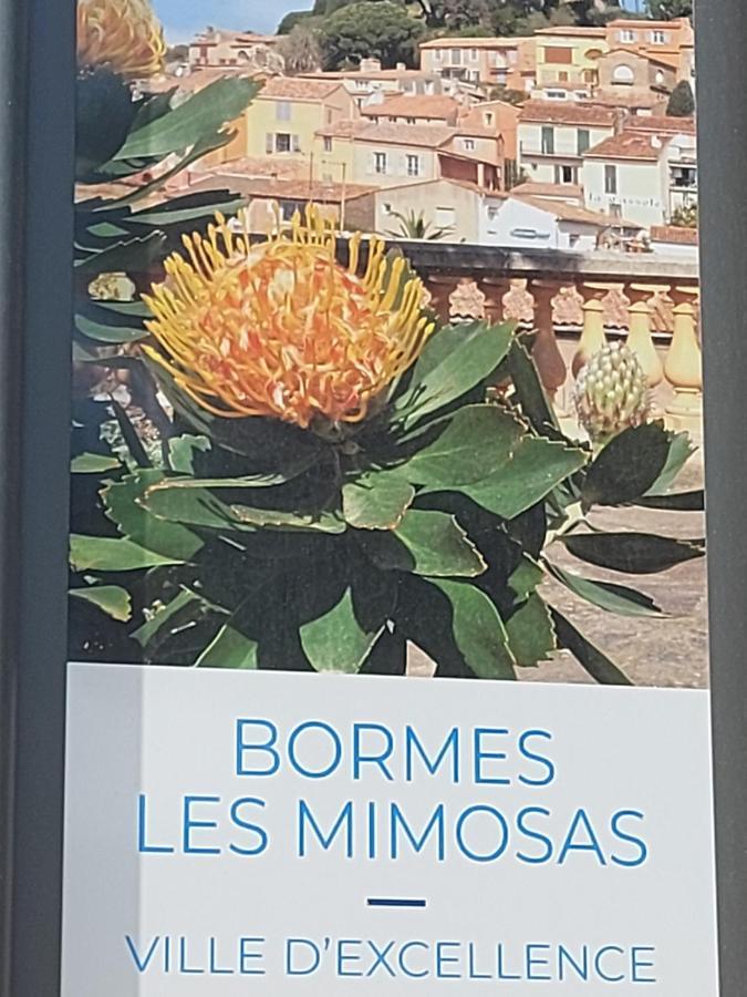T2-CLIM-WIFI-GARAGE 2,30 x 4,95 à LA FAVIERE Apartment Bormes-les-Mimosas Ngoại thất bức ảnh