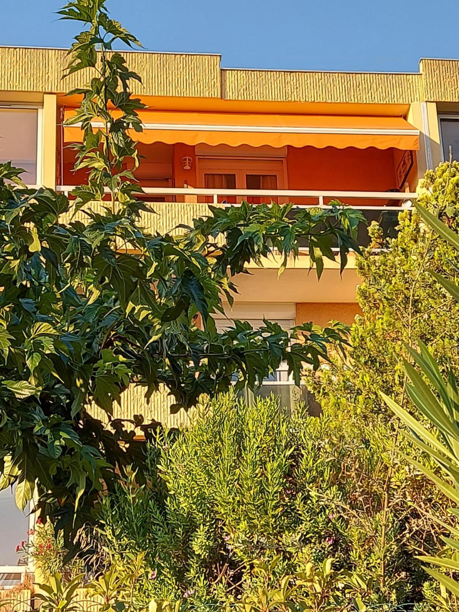 T2-CLIM-WIFI-GARAGE 2,30 x 4,95 à LA FAVIERE Apartment Bormes-les-Mimosas Ngoại thất bức ảnh
